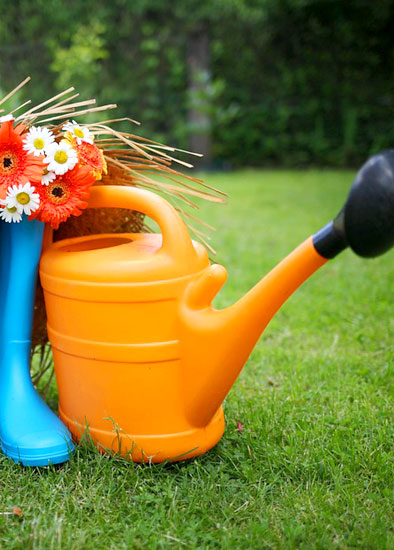 Home Gardening Tools